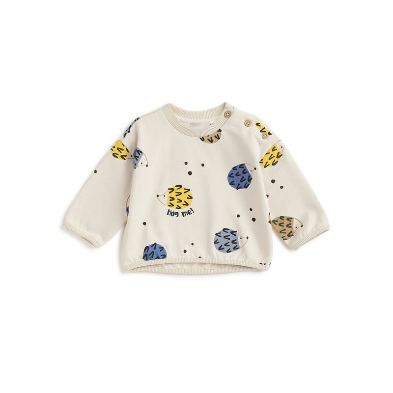 Boys Cream Printed Sweatshirt image number 0