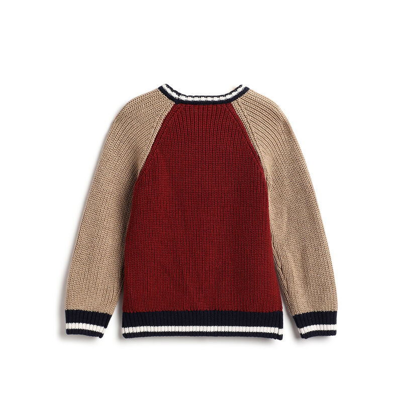 Boys Maroon Colourblocked Pullover image number 1