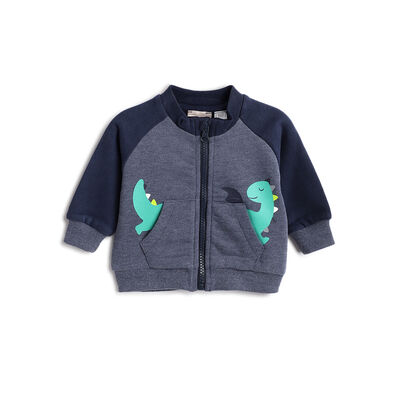 Boys Grey Printed Sweatshirt