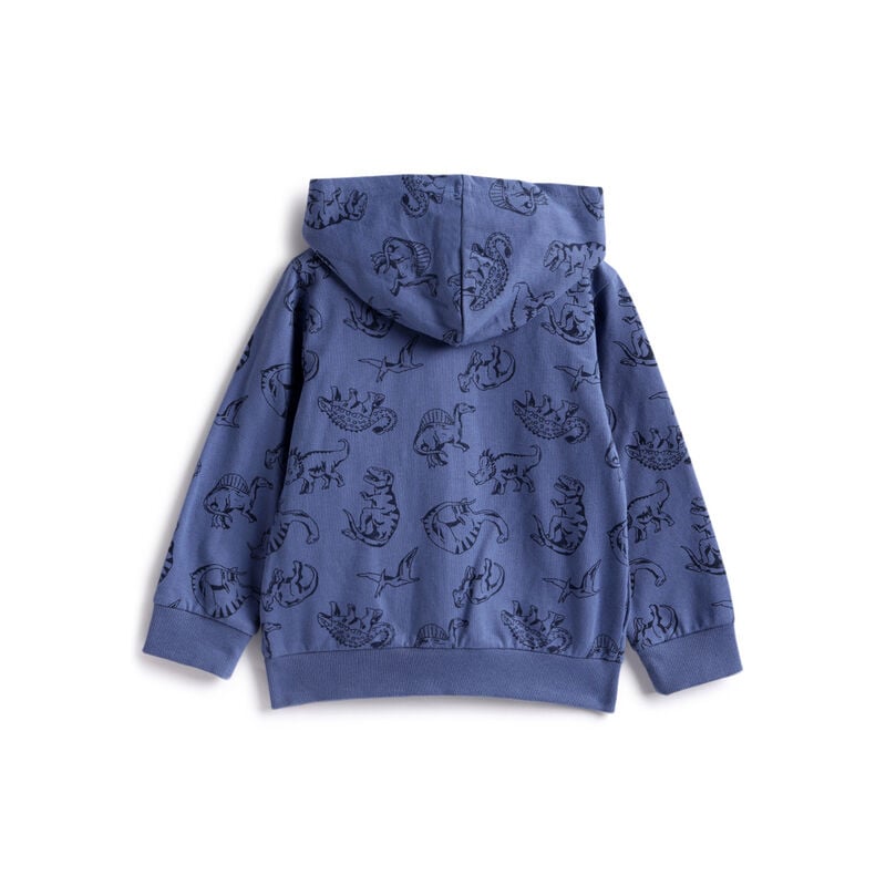 Boys Blue Printed Sweatshirt image number 1