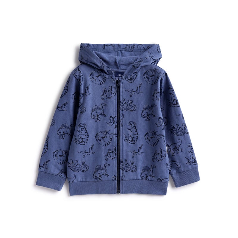 Boys Blue Printed Sweatshirt image number 0